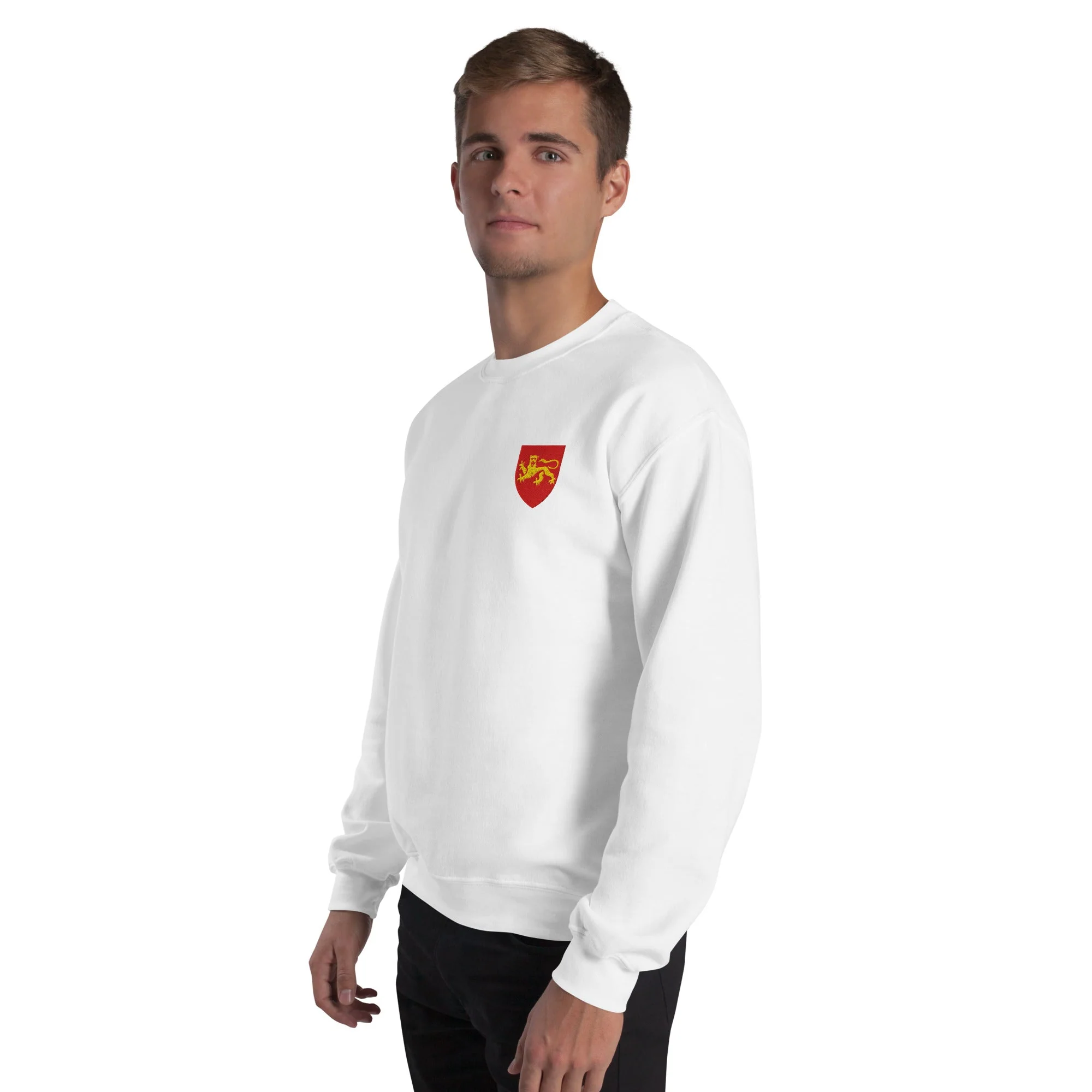 Pull - Aquitaine - Image 10