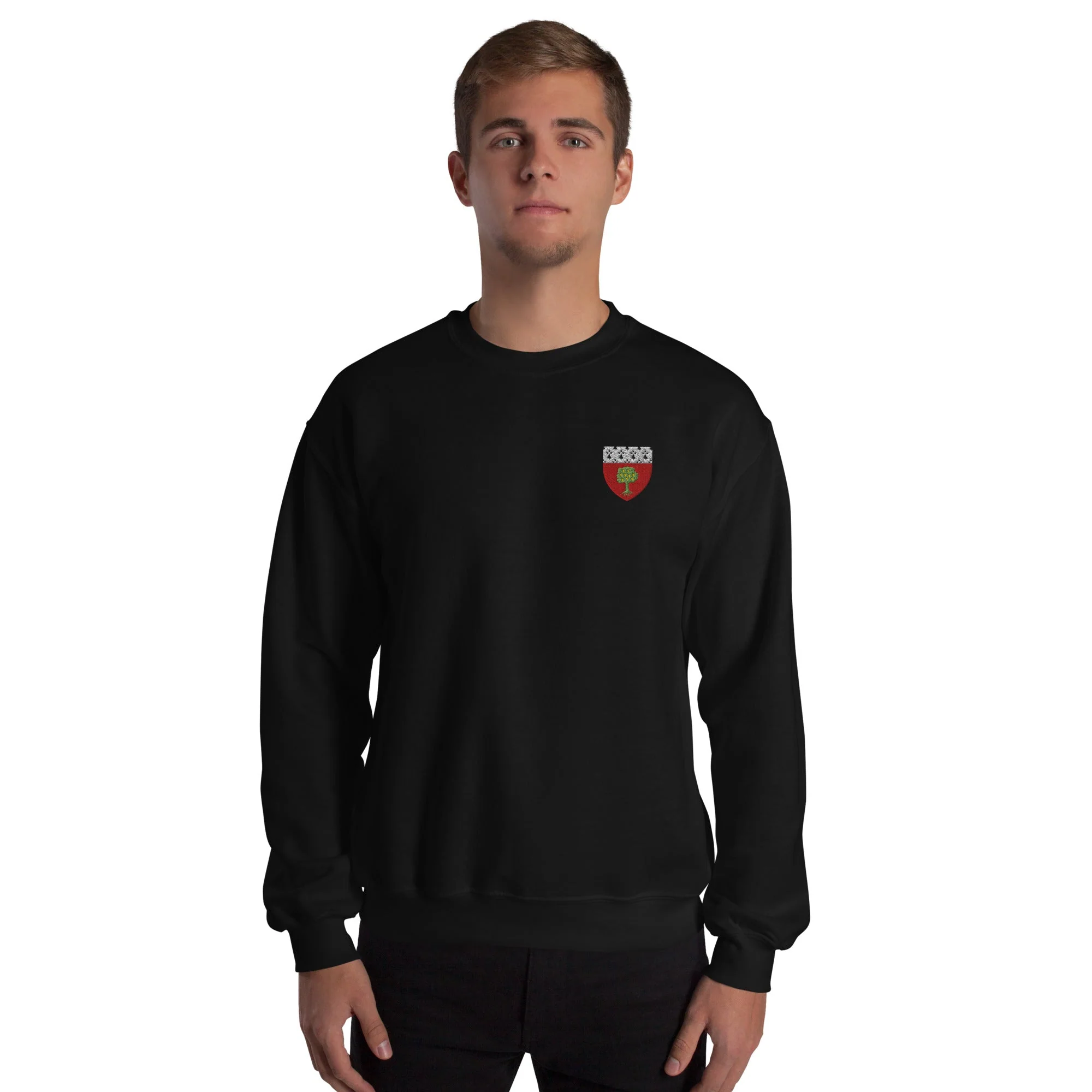 Pull - Carquefou - Image 10