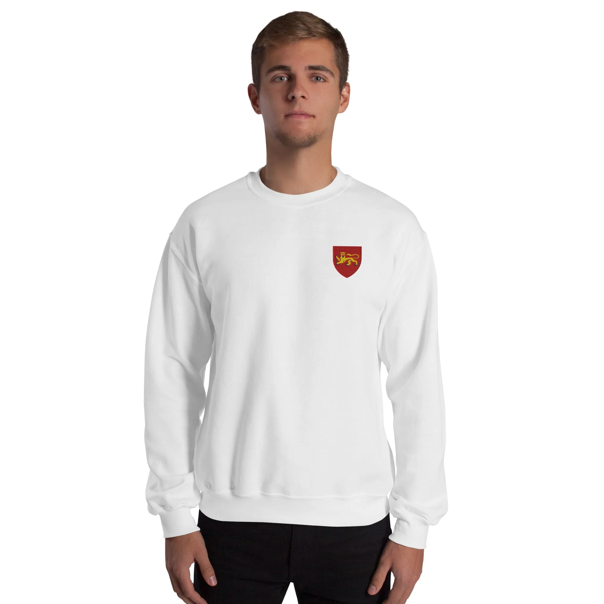 Pull - Laval - Image 4